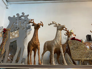 Reindeer